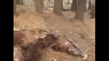 Bigfoot Found Dead