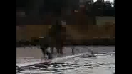 Smu4 - Kaskadiora Ska4a V Baseina