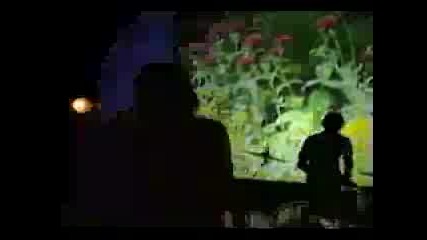 Metric - Quot Dead Disco Quot Music Video