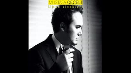 Mustafa Ceceli - Limon Cicekleri( Turuncu mix)