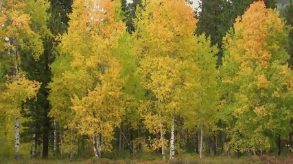 Black Butte Ranch - Oregon Oct