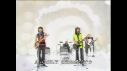 Zone Live true blue