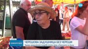 На Черешова Задушница - с ягоди