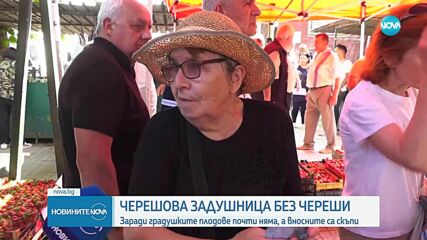 На Черешова Задушница - с ягоди