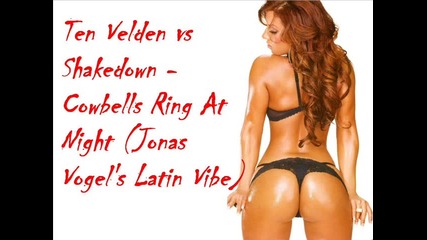 Ten Velden vs Shakedown - Cowbells Ring At Night (jonas Vogels Latin Vibe) 