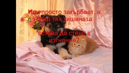 приятелство
