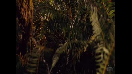 Aliens Vs. Predator - Requiem Trailer 17+