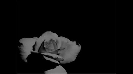 Julee Cruise~falling