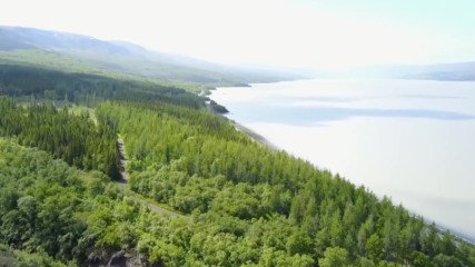 Iceland Is Growing New Forests for the First Time in 1000 Years