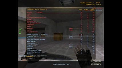 Counter Strike 1.6 Proffesional Player