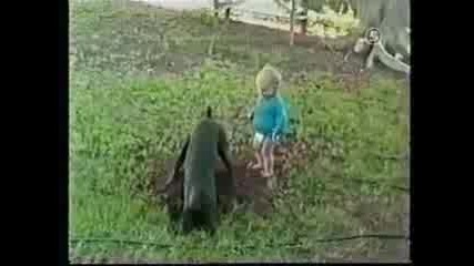 Смешни Животни