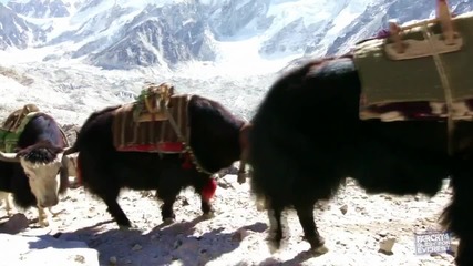 Far Cry 4 - Quest For Everest Trailer