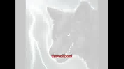Demon Wolves 2