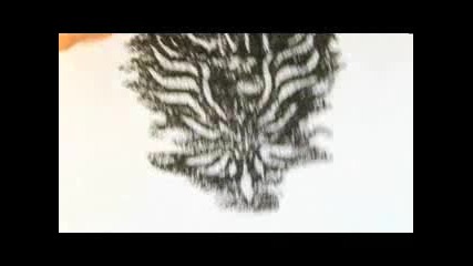 Short Film - Ash of the Phoenix