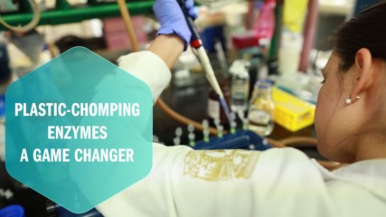 Are plastic-chomping enzymes a garbage game changer?