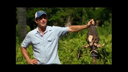 jeff probst 