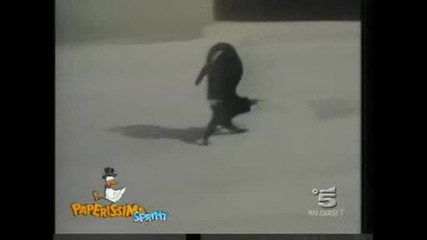Смешни Котки