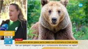 Как ще изкарат зимата мечките в зоопарка в Стара Загора