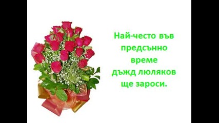 - Любов - Магическа Реалност - .