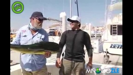Кражба на трофейна риба