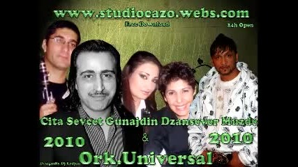 Dzansever 2010 tuti 