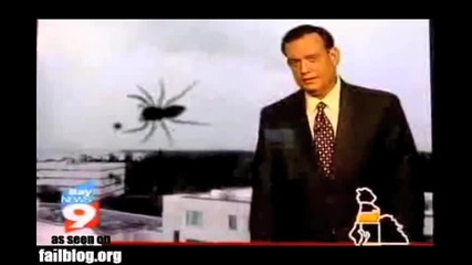 Гигантски паяк! 