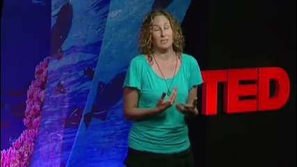 Dianna Cohen Tough truths about plastic pollution 