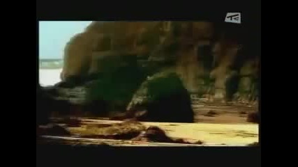 Delerium - Silence ft. Sarah Mclachlan 