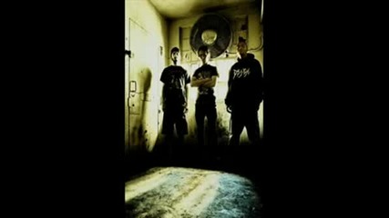 Brutal Bands I