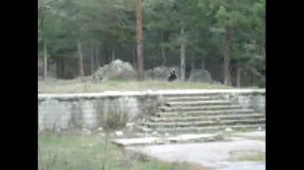 mmalko ofrot