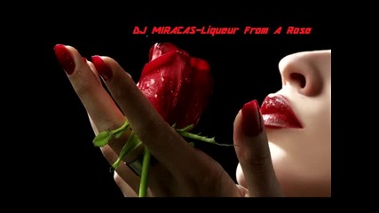 Dj Miracas-liqueur From A Rose