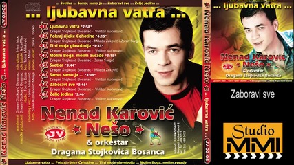 Nenad Karovic Neso - Zaboravi sve (audio 2002)