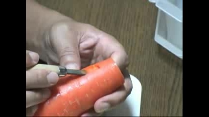 How To Make A Carrot Ocarina