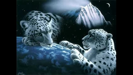 Tom Astor & The Bellamy Brothers - I Need More Of You