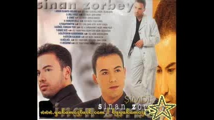 Sinan Zorbey Zoruma Gider