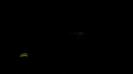 d - phrag & Monochronic @ Plazma 07.01.2011 pt2 