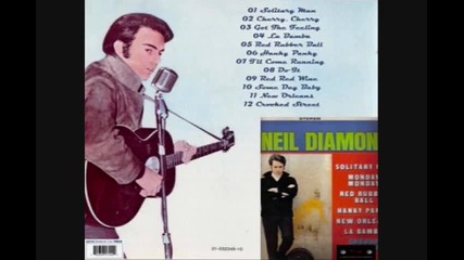 Neil Diamond - Im a Believer 