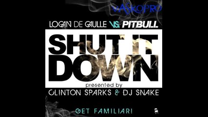 Pitbull - Shut it Down