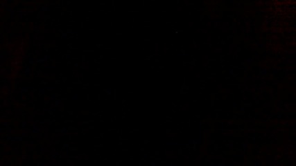 04072010001