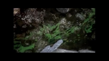 Wrong Turn 2 (погрешен завой 2) - избрани моменти (6)