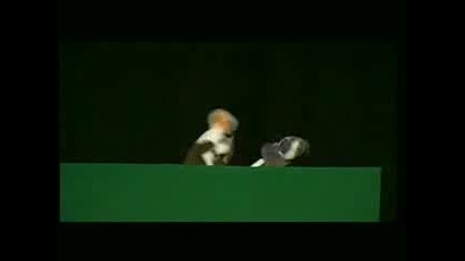 Stend - Up Комедийно Шоу - Част2