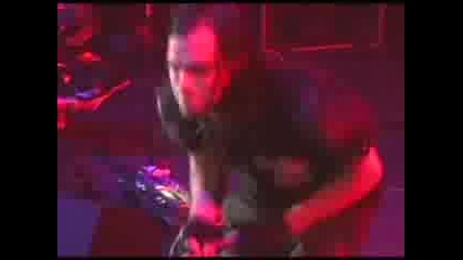 The Used - Im A Fake - Live From berth Dvd