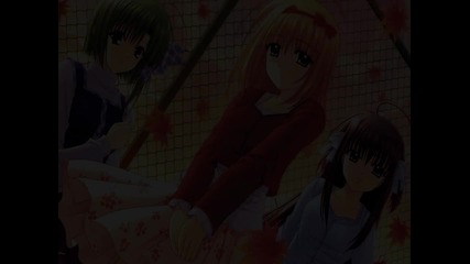 Стабилен Трак Light Nightstep