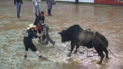 Elton Cide rides Magnifico for 87.75 points