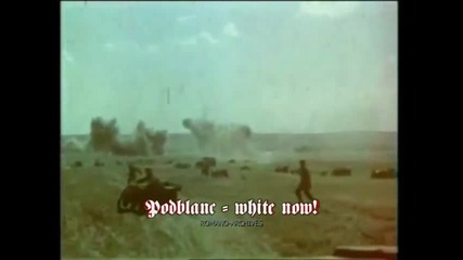 Wehrmachts Offensive on the Eastern Front 1942