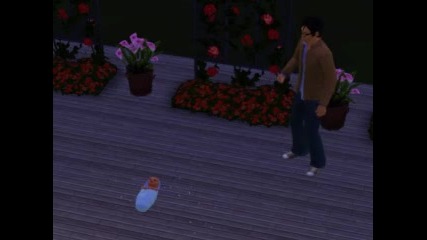 Бебе, поръсвано с ориз от непознати - Sims 3