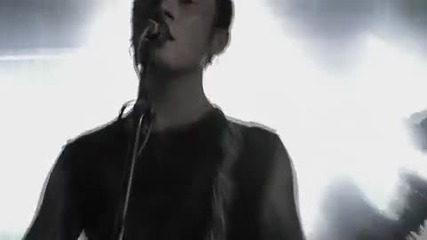 The Man - Eating Tree - Amended (2010) 