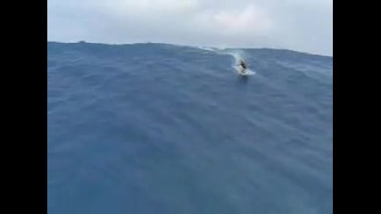 Struck in tsunami