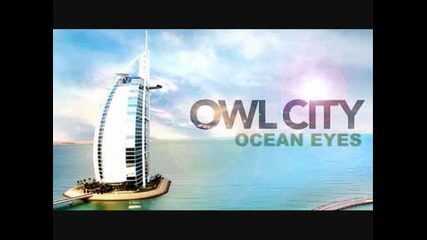 Owl City - Fireflies