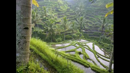 Asia